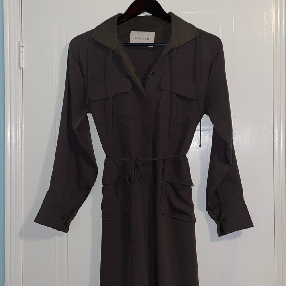 Aritzia Babaton Dress